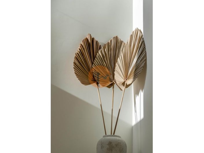 Image No.16-3 Bed House for sale