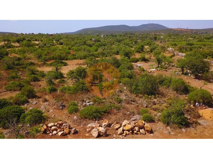 Image No.4-Plot for sale