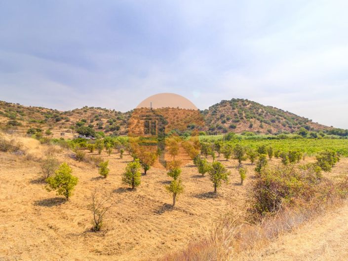 Image No.37-3 Bed Farmhouse for sale