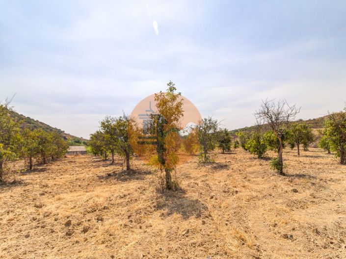 Image No.39-3 Bed Farmhouse for sale