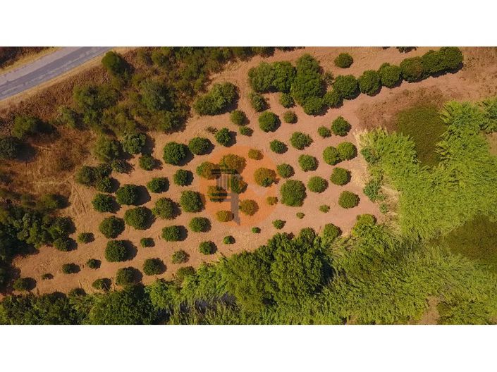 Image No.42-3 Bed Farmhouse for sale