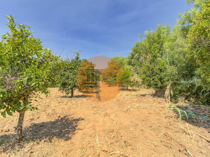 Image No.43-3 Bed Farmhouse for sale