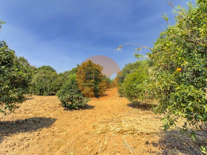 Image No.44-3 Bed Farmhouse for sale