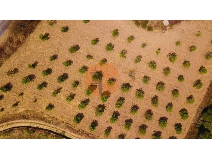 Image No.34-Plot for sale