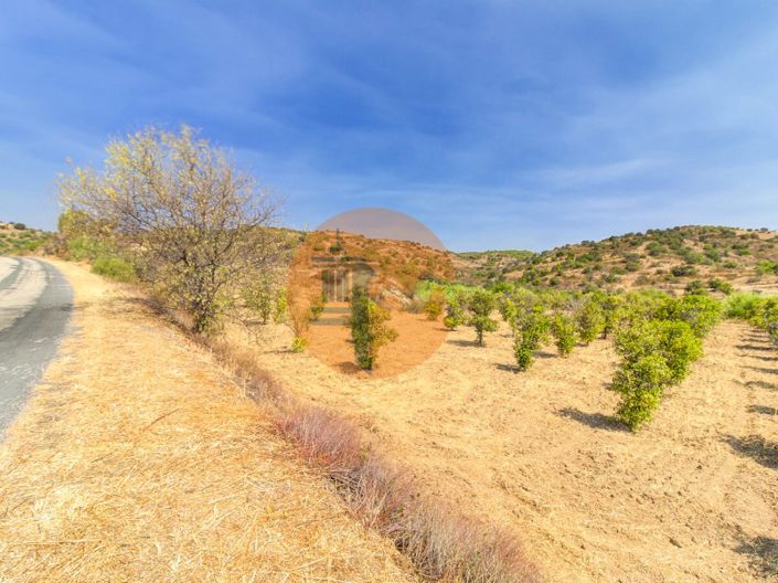 Image No.35-Plot for sale