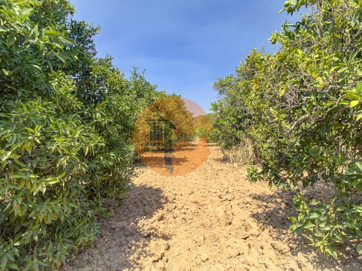 Image No.44-Plot for sale