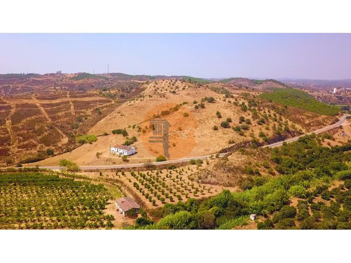 Image No.48-Plot for sale