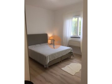 id338e5c01-0000-0500-0000-00001712d85c