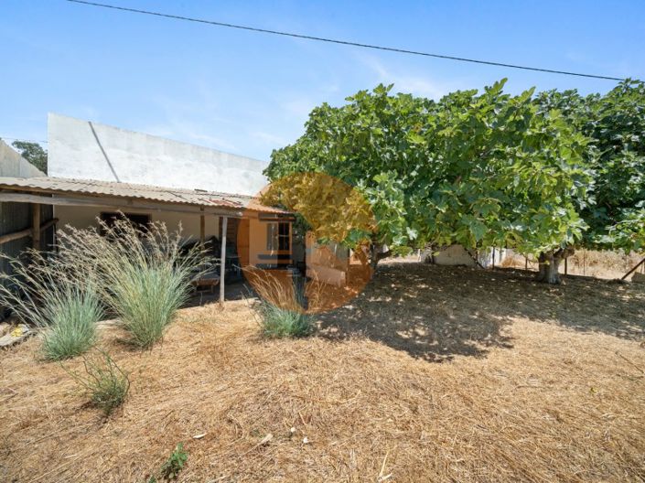 Image No.19-4 Bed Farmhouse for sale