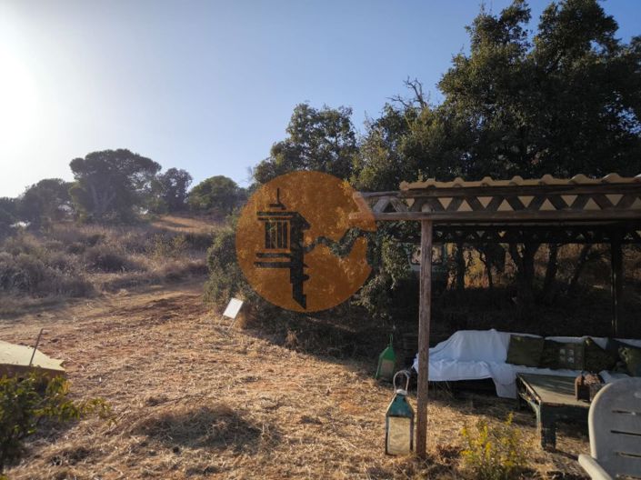 Image No.13-Plot for sale