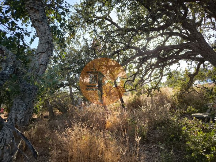 Image No.18-Plot for sale