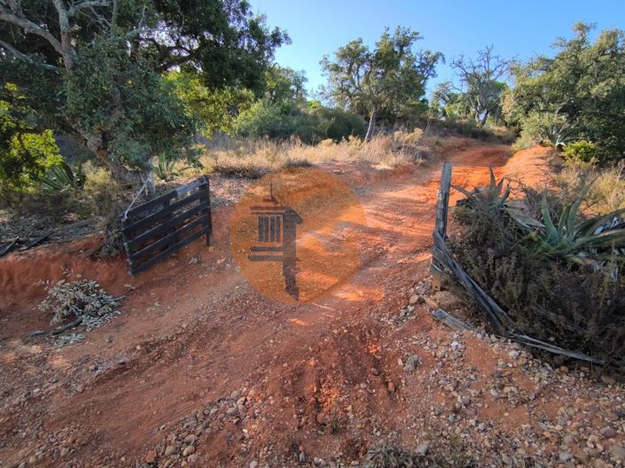 Image No.4-Plot for sale