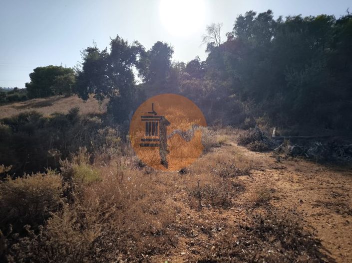 Image No.6-Plot for sale