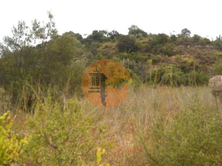 Image No.2-Plot for sale