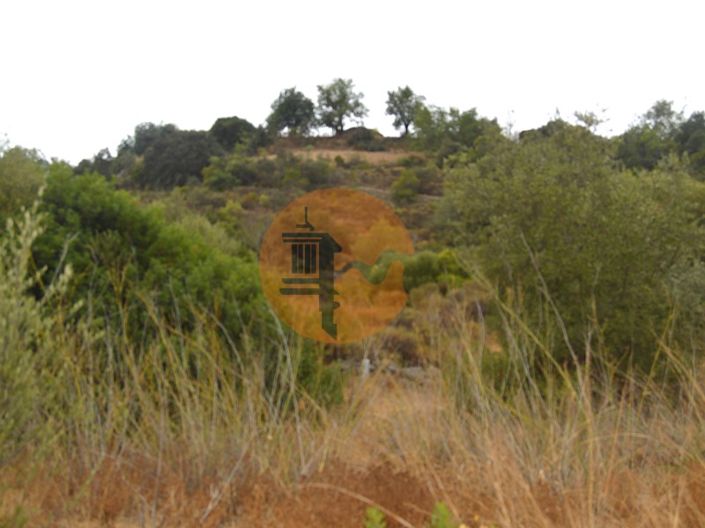 Image No.3-Plot for sale