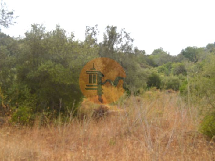 Image No.5-Plot for sale