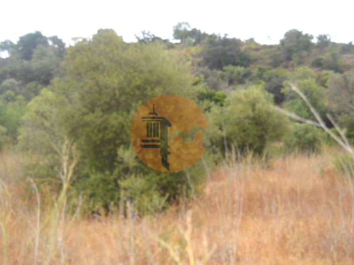 Image No.8-Plot for sale