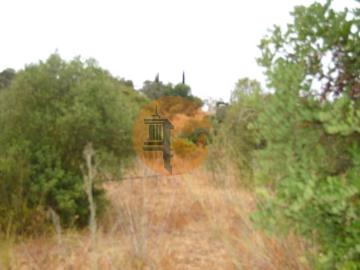 Image No.9-Plot for sale