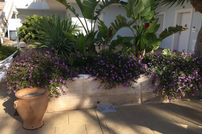 Image No.15-2 Bed Apartment for sale