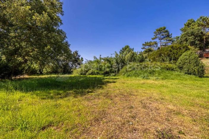 Image No.4-Land for sale