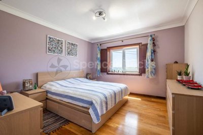 ae9d33b7-0bea-9345-22ce-864cf8fc813e