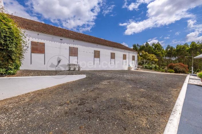 Image No.28-3 Bed House for sale