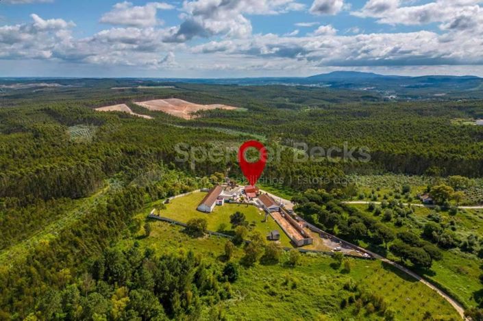 Image No.44-3 Bed House for sale