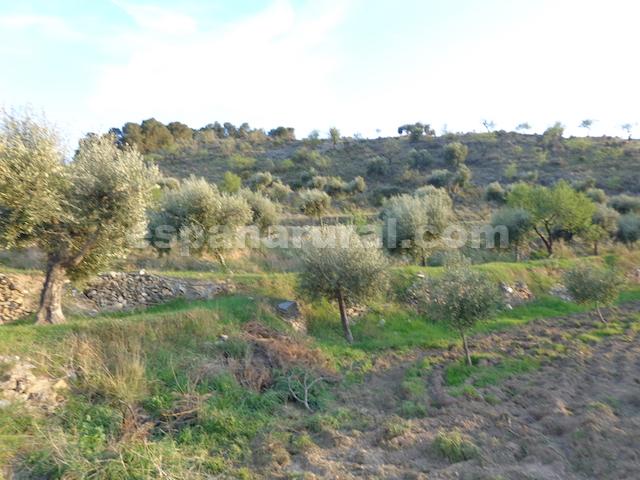 Image No.23-3 Bed Country House for sale