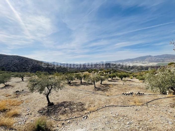 Image No.24-3 Bed Country House for sale