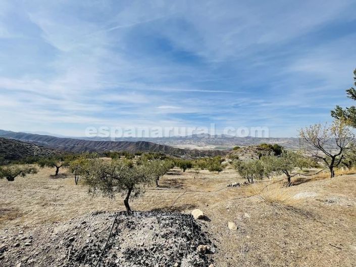 Image No.25-3 Bed Country House for sale