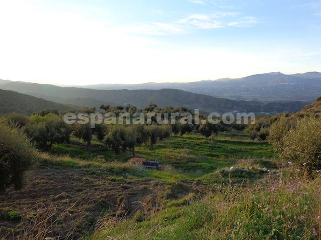 Image No.27-3 Bed Country House for sale