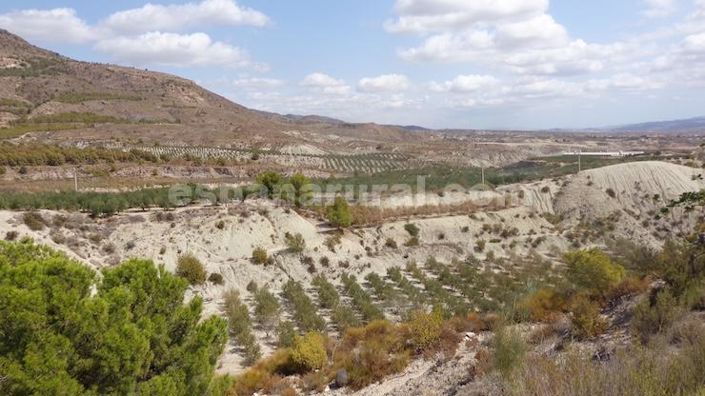 Image No.22-3 Bed Country House for sale