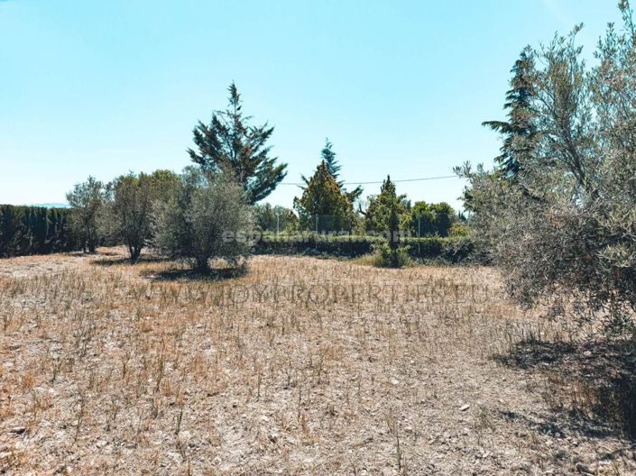 Image No.21-5 Bed Villa for sale