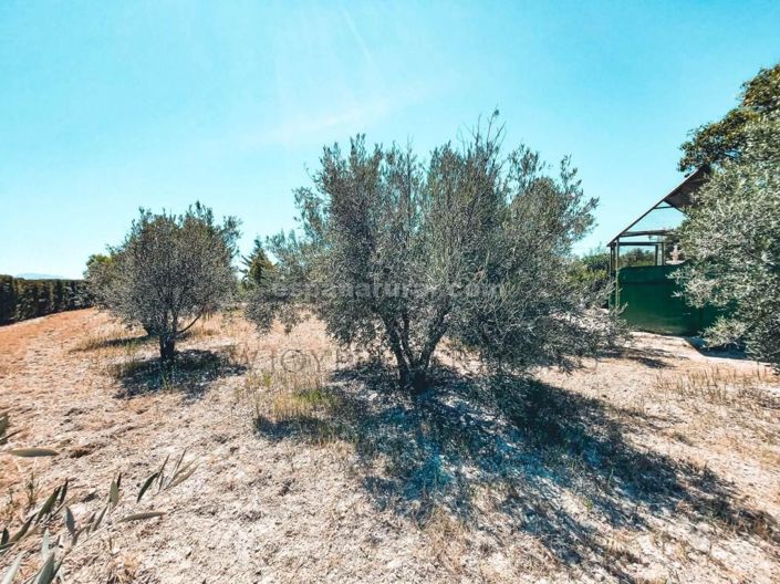 Image No.25-5 Bed Villa for sale