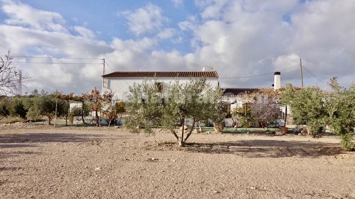 Image No.2-7 Bed Finca for sale