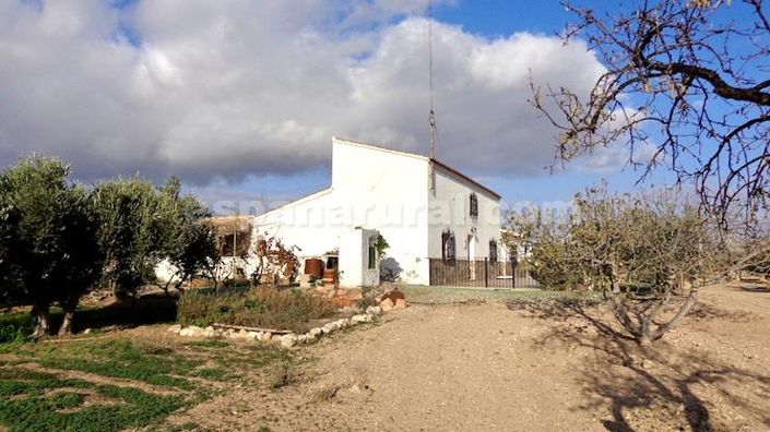 Image No.3-7 Bed Finca for sale