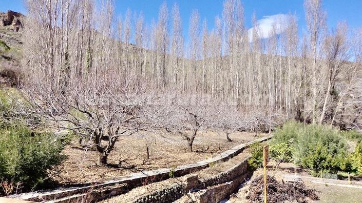 Image No.23-9 Bed Country House for sale