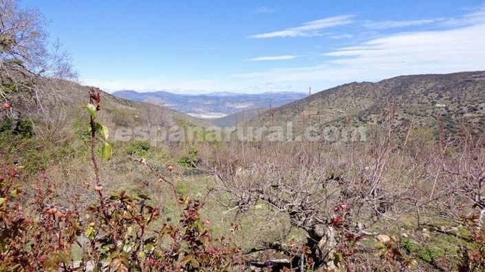 Image No.25-9 Bed Country House for sale