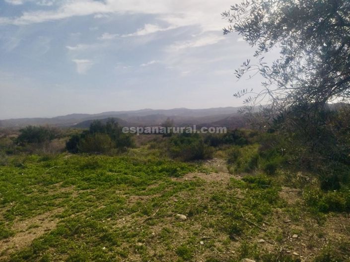 Image No.27-9 Bed Country House for sale