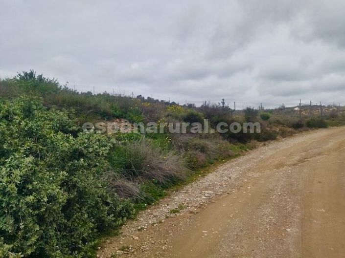 Image No.13-3 Bed Country House for sale