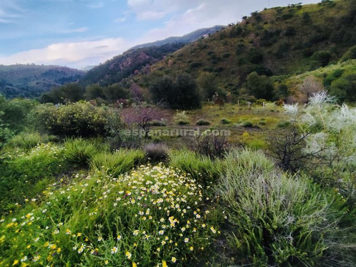 Image No.20-2 Bed Country House for sale