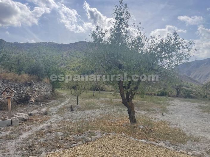 Image No.16-3 Bed Country House for sale