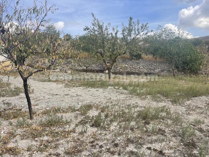 Image No.18-3 Bed Country House for sale