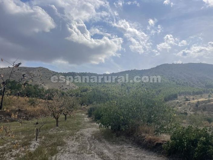 Image No.19-3 Bed Country House for sale