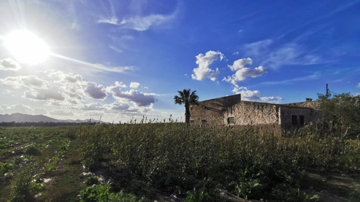 Image No.17-Plot for sale