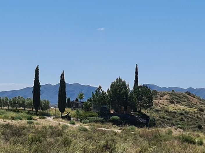 Image No.4-3 Bed Villa for sale