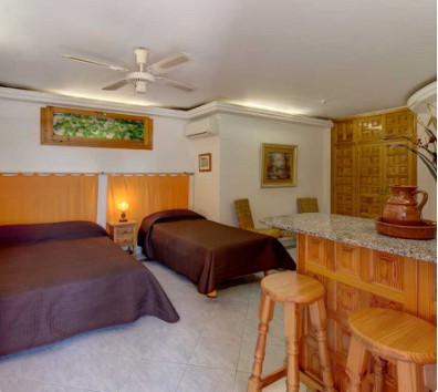 Image No.20-9 Bed Villa for sale