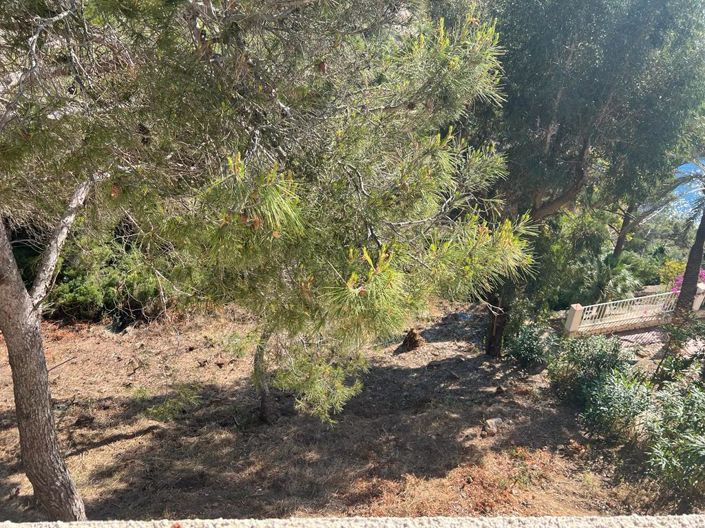 Image No.5-Land for sale