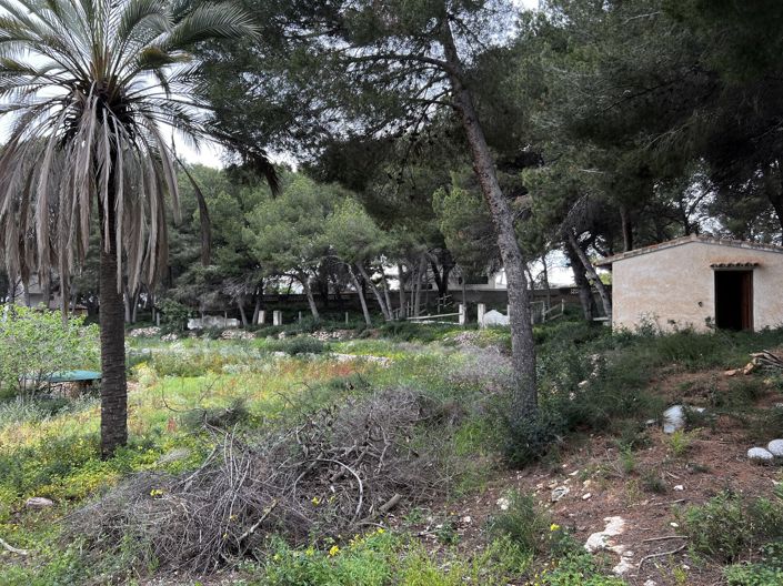 Image No.1-Land for sale