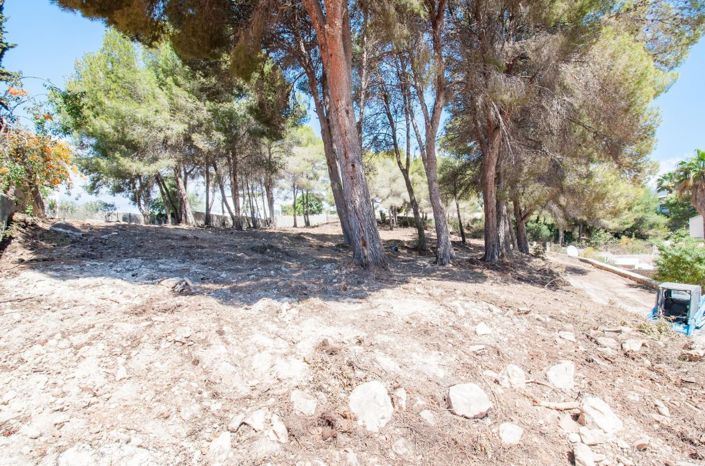 Image No.9-Land for sale